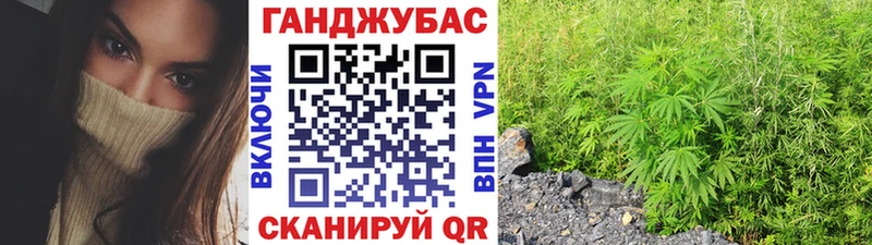 Продажа наркотиков Дубна Cocaine  кракен зеркало  ГАШИШ  A PVP  АМФ  Конопля  Мефедрон 